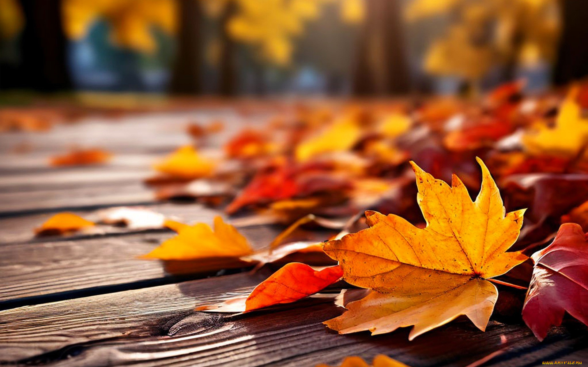 3 ,  , nature, , , , 